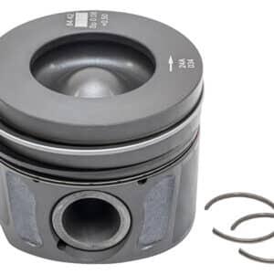 Piston & Ring Set