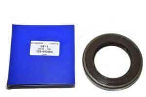 TZB100220G