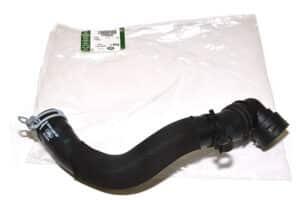 LR095544LR