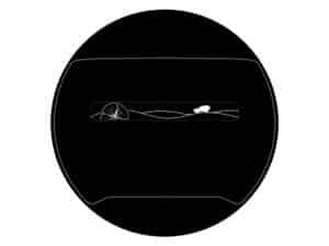 STICKER-COMPASS_extra